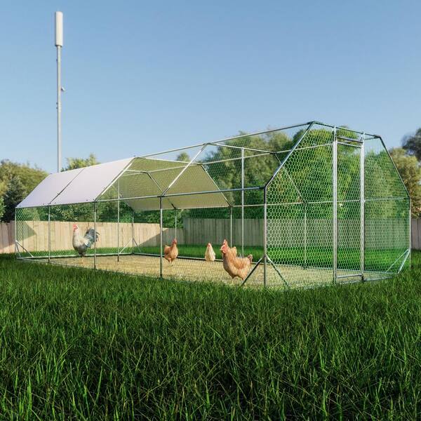 Siavonce 119.28 in. W x 308.16 in. D Galvanized Large Metal Walk