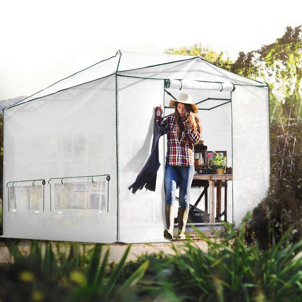 96 in. W x 144 in. D Large Walk-In Gardening Portable Greenhouse Canopy price history on PriceWatchPro