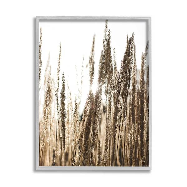 The Stupell Home Decor Collection Light Ray though Wheat Field Design by Susan Ball Framed Nature Art Print 20 in. x 16 in.