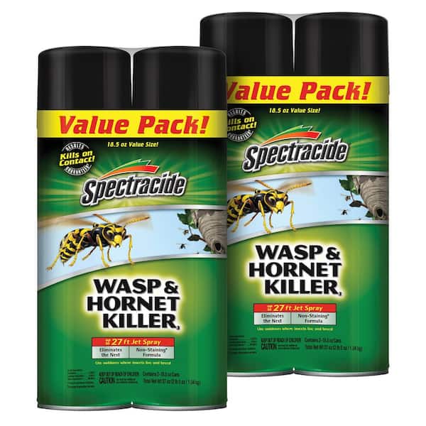 18.5 oz. Wasp and Hornet Killer Aerosol Spray (Insect Killer) (4-Count)