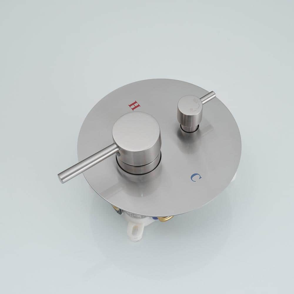 Brushed Nickel Dual Shower Head with Handheld and Rain Spray