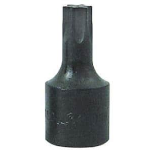 T55 Torx Socket