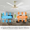 WINGBO 60 in. 8-Blade LED Gold & White Ceiling Fan