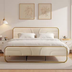 Sea Bed シーベッド　完全未開封 楽天市場】【クーポンで5%OFF☆9日23:59まで！】 zesto ゼスト