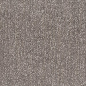 Fluffy Expectations - Barn Beam - Brown 56.2 oz. Nylon Texture Installed Carpet