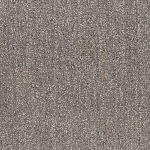 Lifeproof Fluffy Expectations - Barn Beam - Brown 56.2 oz. Nylon Texture Installed Carpet