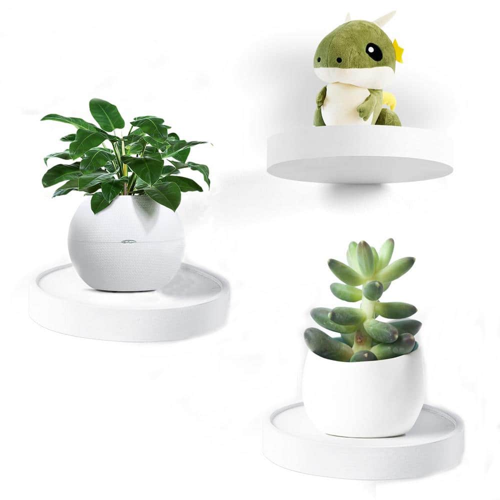 6 in. W x 0.9 in. D Round Floating Shelves Set of 3 White Rustic Wood Small
