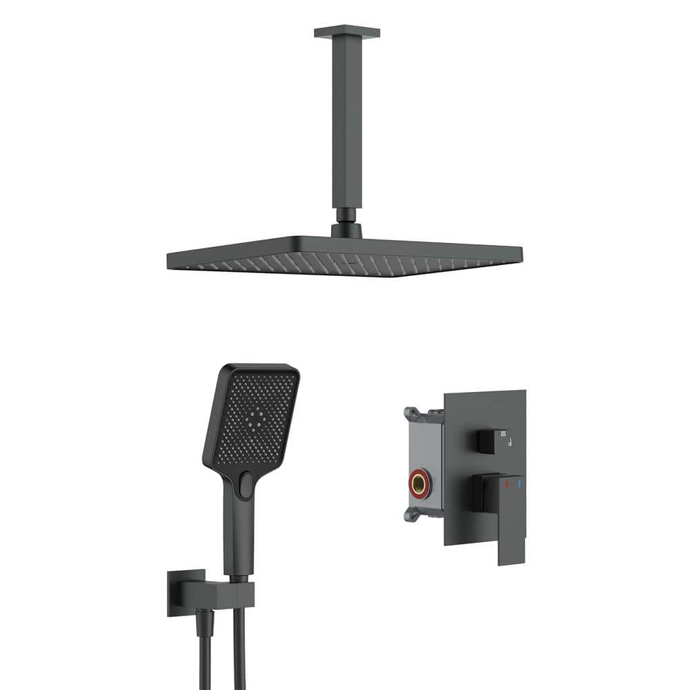 Single Handle 2-Spray Ceiling Mount 14.2 in. Shower Faucet 1.8 GPM with Hig