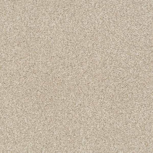 Lifeproof Karma I - Earth Shine - Brown 41.2 oz. Nylon Texture Installed Carpet