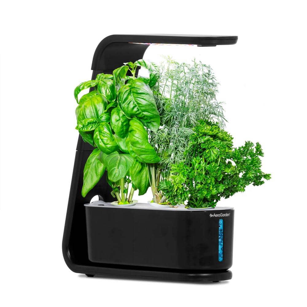 https://images.thdstatic.com/productImages/11d62656-e311-47be-82d1-062bb38ee870/svn/black-aerogarden-hydroponic-systems-900824-1200-64_1000.jpg