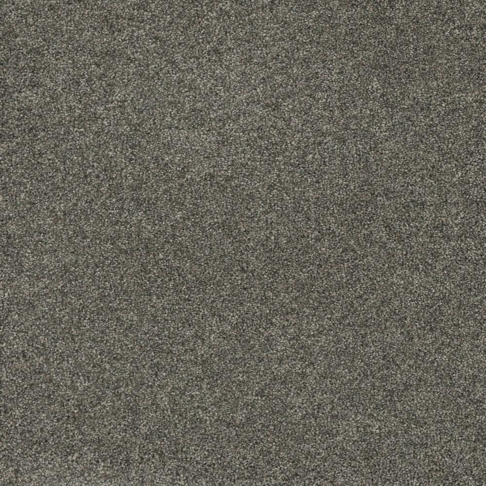 8 in. x  8 in. Texture Carpet Sample - Bradmore II -Color Wake price history on PriceWatchPro