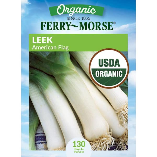 Organic Leek American Flag Vegetable Seeds