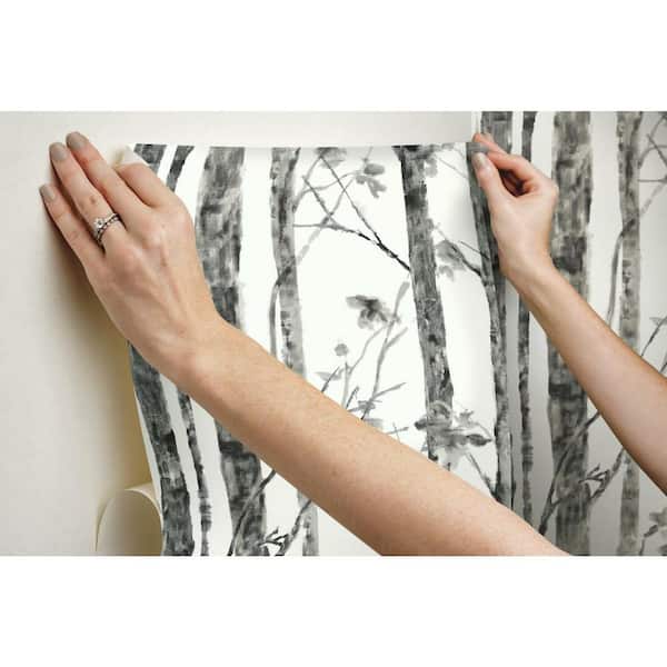 Birch Trees Peel and Stick Removable Wallpaper  Say Decor LLC