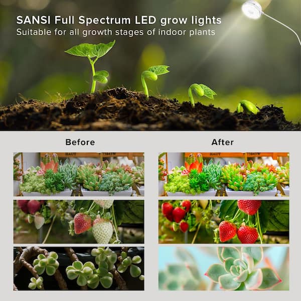 SANSI 5-Watt White Clip LED Grow Light for Indoor Plants, Full Spectrum,  4-Level Dimmable Auto On/Off 4000K Daylight (3-Pack) 01-03-001-050532 - The  Home Depot