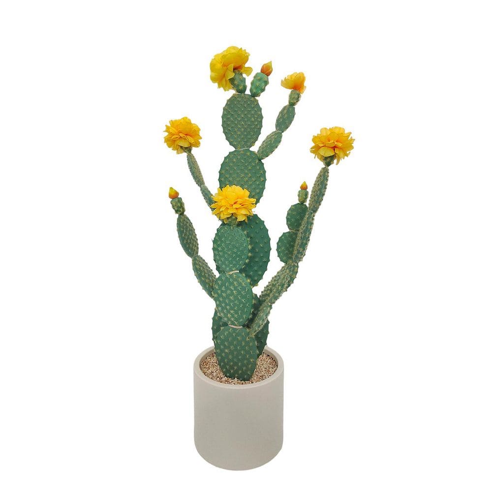 Gravee 30 in. Tall UV Resistant Faux Cactus Plant, Artificial