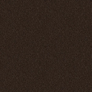 Alpine - Exploration - Brown 17.3 oz. Polyester Texture Installed Carpet
