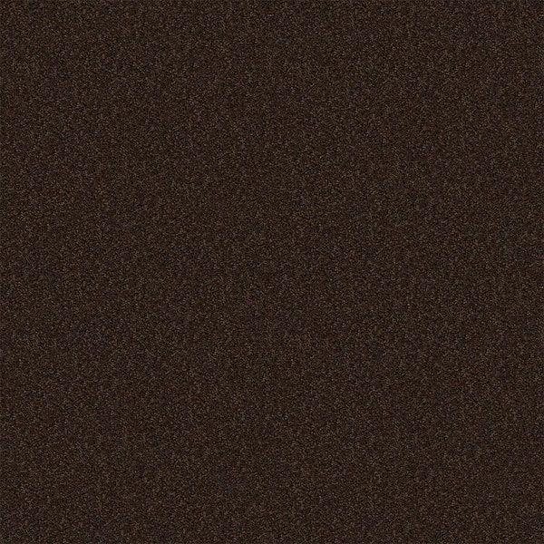Alpine - Exploration - Brown 15 ft. 17.3 oz. Polyester Texture Carpet - Installation Required