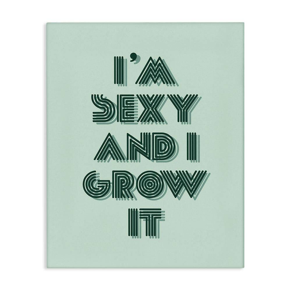 I'm Sexy And I Grow It Gardening Plant Humor by Lil' Rue Unframed Typography Graphic Art Print 40 in. x 30 in. price history on PriceWatchPro
