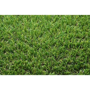 5 ft. x 7 ft. x 24 Oz Pile Wt. Pre Cut Green Artificial Grass Turf