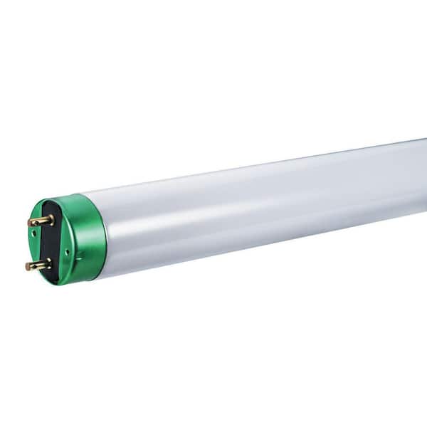 Philips 32-Watt 4 ft. Bright White Linear T8 Fluorescent Tube Light Bulb (2-Pack)