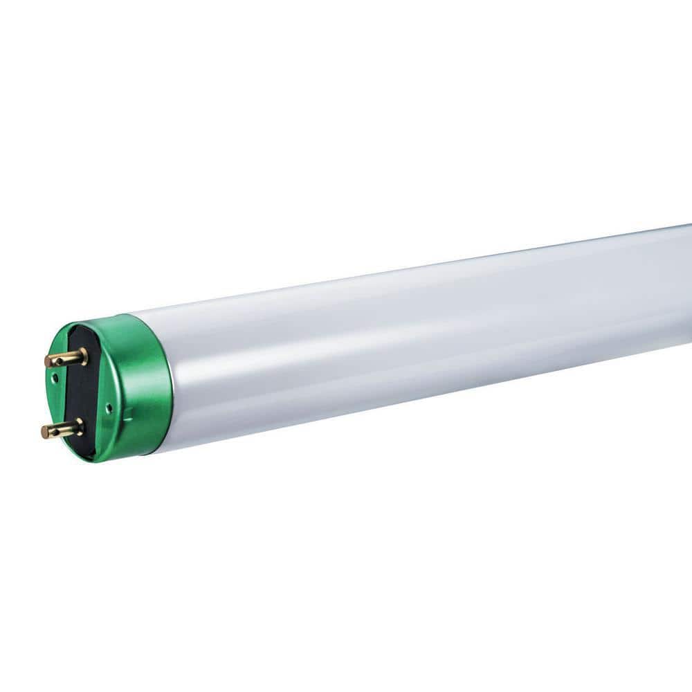 Philips 32-Watt 48 in. Linear T8 Fluorescent Tube Light Bulb Natural  Daylight (5000K) (30-Pack) 543348 - The Home Depot