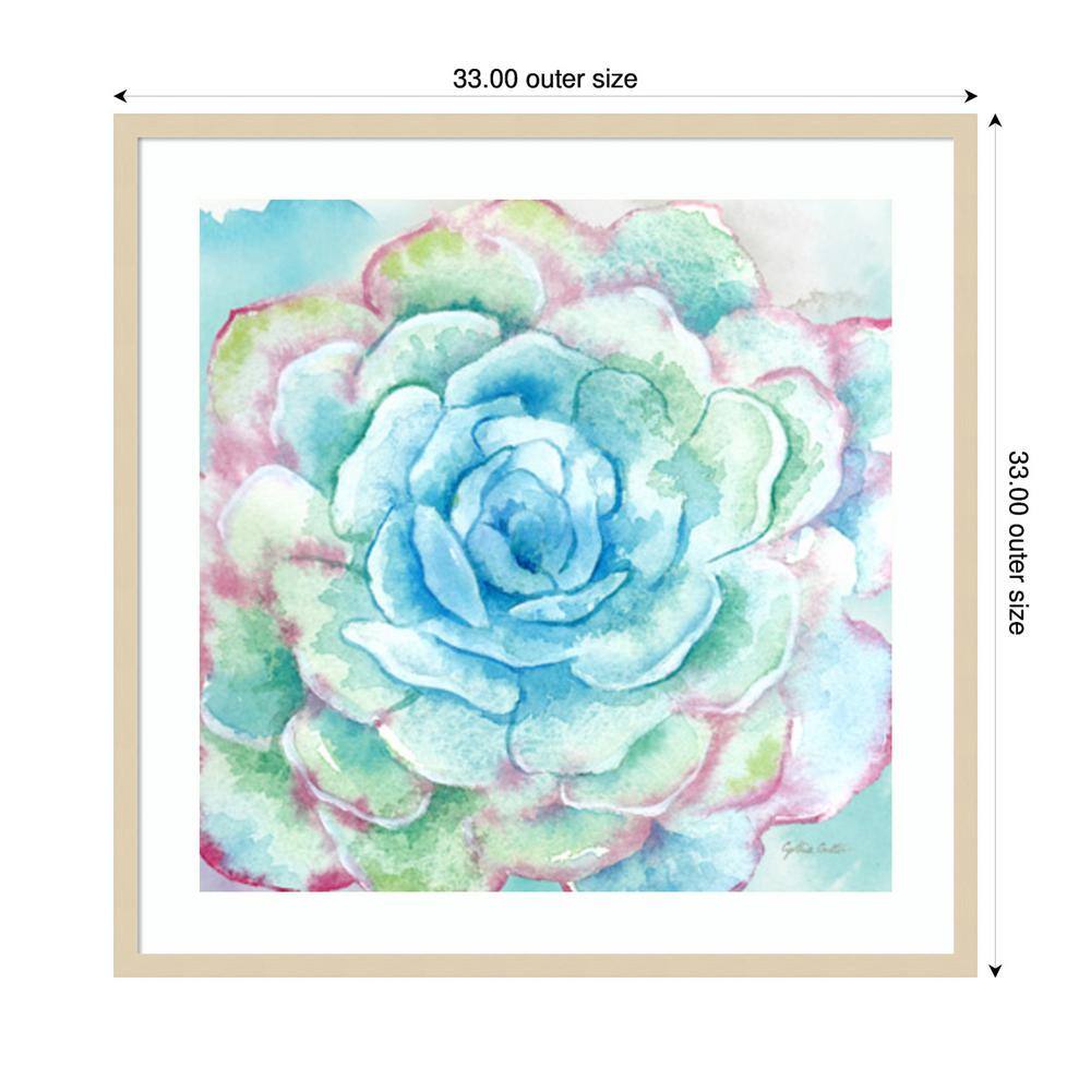 Sweet Succulents I Svelte Natural Framed Wall Art Print