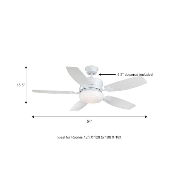 HDC Molique 54in.Indoor/Outdoor Ceiling Fan with Light Kit and Wall Controller 