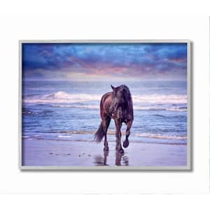 Wild Horse on Beach Colorful Blue Sunset By PHBurchett Framed Print Animal Texturized Art 16 in. x 20 in.
