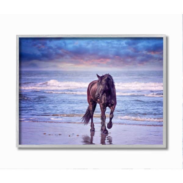 Stupell Industries Wild Horse on Beach Colorful Blue Sunset By PHBurchett Framed Print Animal Texturized Art 16 in. x 20 in.
