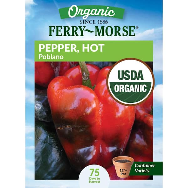 Organic Pepper Poblano Fruit Seeds