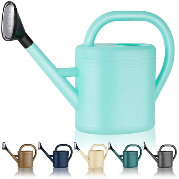 Dyiom 1 Gallon Light Green Rainwater Harvesting System Gallon Watering