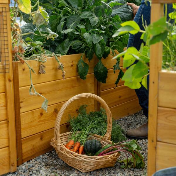 Outdoor Living Today 8 ft. x 8 ft. Garden in a Box with Greenhouse