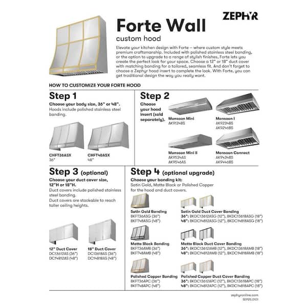 Forte 48 in. Convertible Wall Mount Custom Range Hood in Stainless Steel