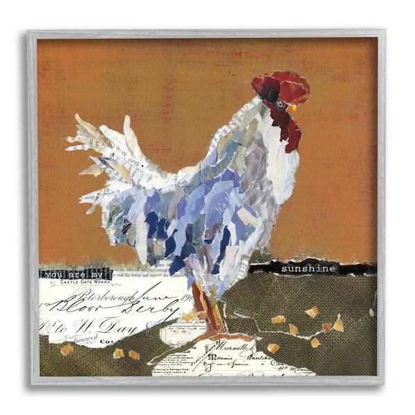 Stupell Industries "Country Farm Chicken Collage My Sunshine Sentiment" by Carol Robinson Framed Animal Wall Art Print 12 in. x 12 in.