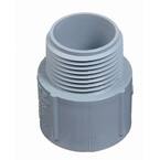 2 in. PVC Male Terminal Adapter (Standard Fitting)