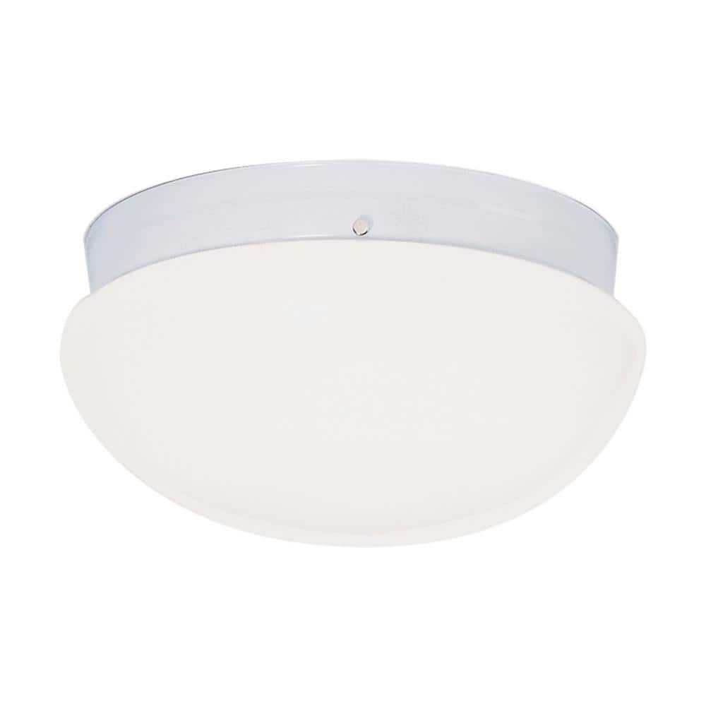 Ceiling Lights Home Depotnull