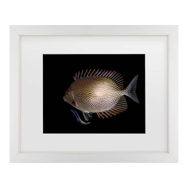 Trademark Fine Art Ilan Ben Tov Cleaning Station Matted Framed Photography Wall Art 13 in. x 16 in.