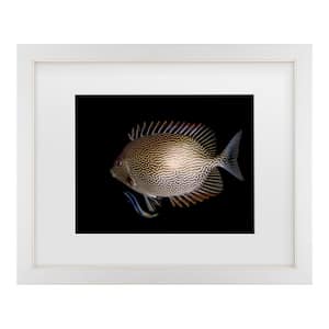 Ilan Ben Tov Cleaning Station Matted Framed Photography Wall Art 18 in. x 22 in.