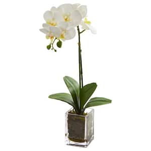 Indoor 24 in. Orchid Phalaenopsis Artificial Arrangement in Vase