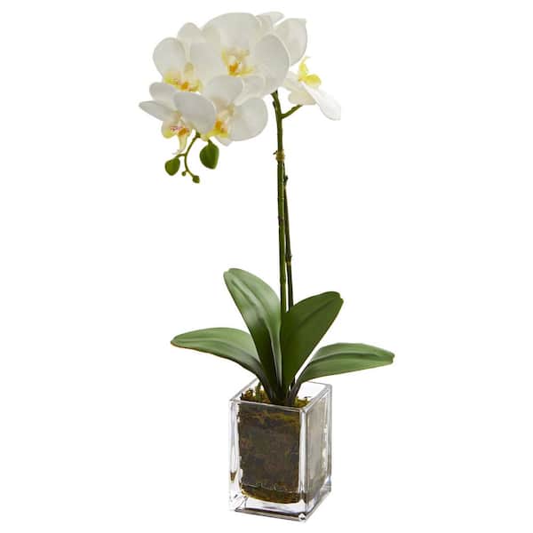 Nearly Natural Indoor 24 in. Orchid Phalaenopsis Artificial Arrangement in Vase