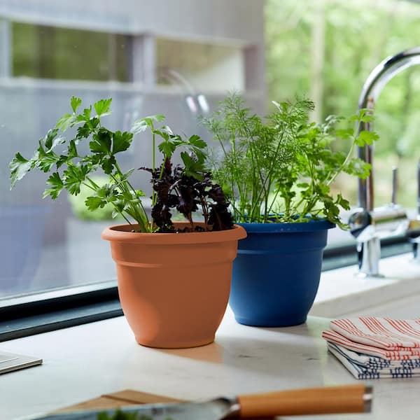 Self-Watering Plastic Flower Plant Pot Indoor House Windowsill Planter Blue 