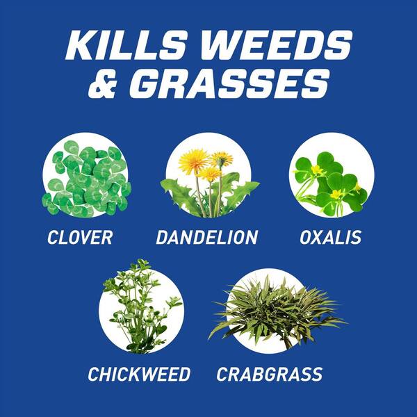 GroundClear Weed and Grass B-gon Patio and Landscape Weed and Grass Killer Refill 1 gal. Spray Weed Killer Refill