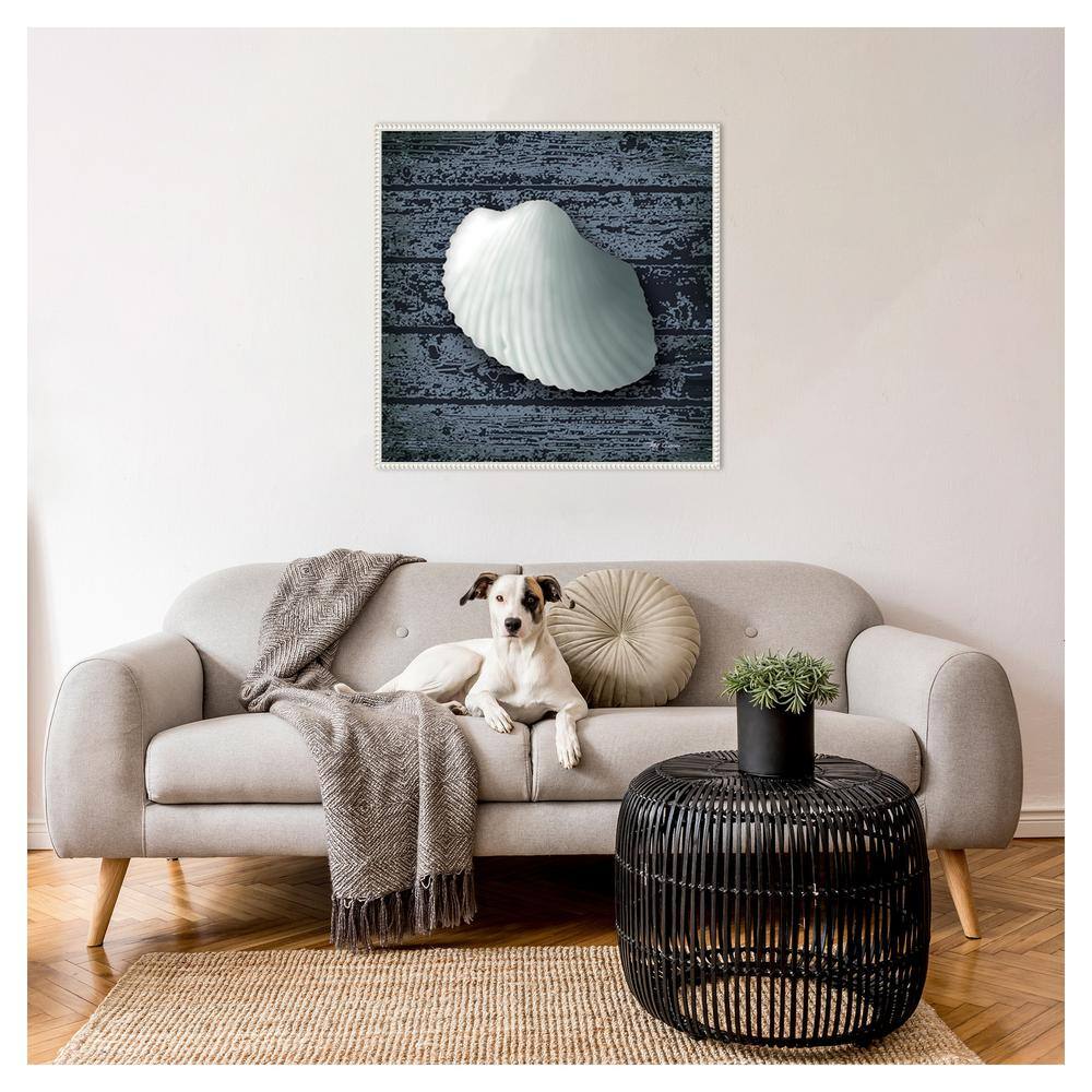 Seashore Shells Navy I White Floater Frame Canvas Wall Art