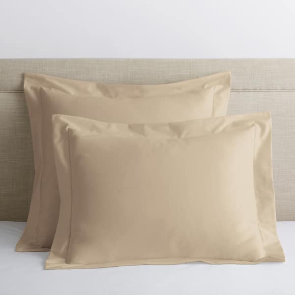 The Company Store Legends Hotel Alabaster 450-Thread Count Wrinkle-Free Supima Cotton Sateen Euro Sham