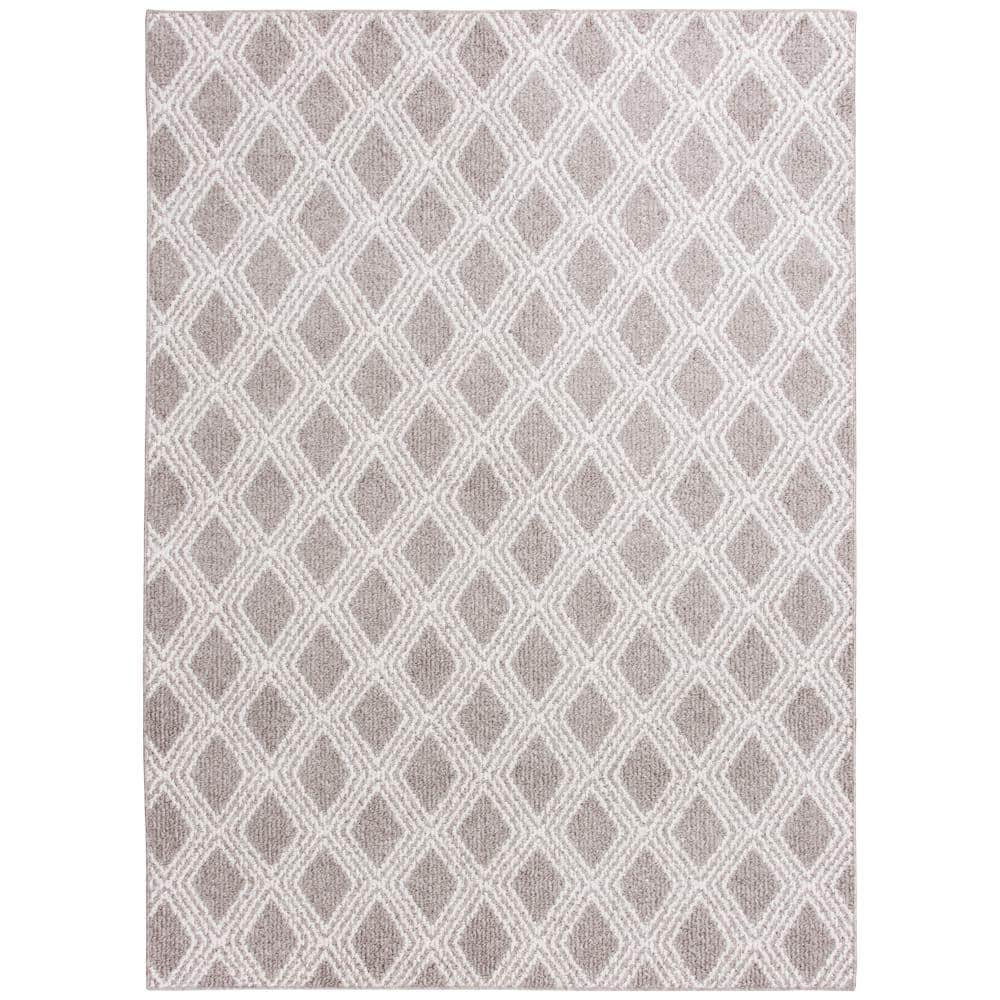 Beige/White 5 ft. x 7 ft. Trellis Area Rug