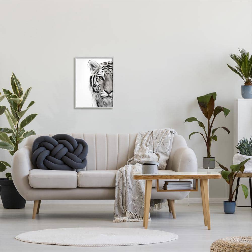 White Tiger Close-Up Black and White Framed Canvas Print, 16 x 20
