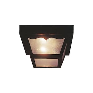 2-Light Black Outdoor Polycarbonate Flush Mount Ceiling Fixture with Clear Textured Glass