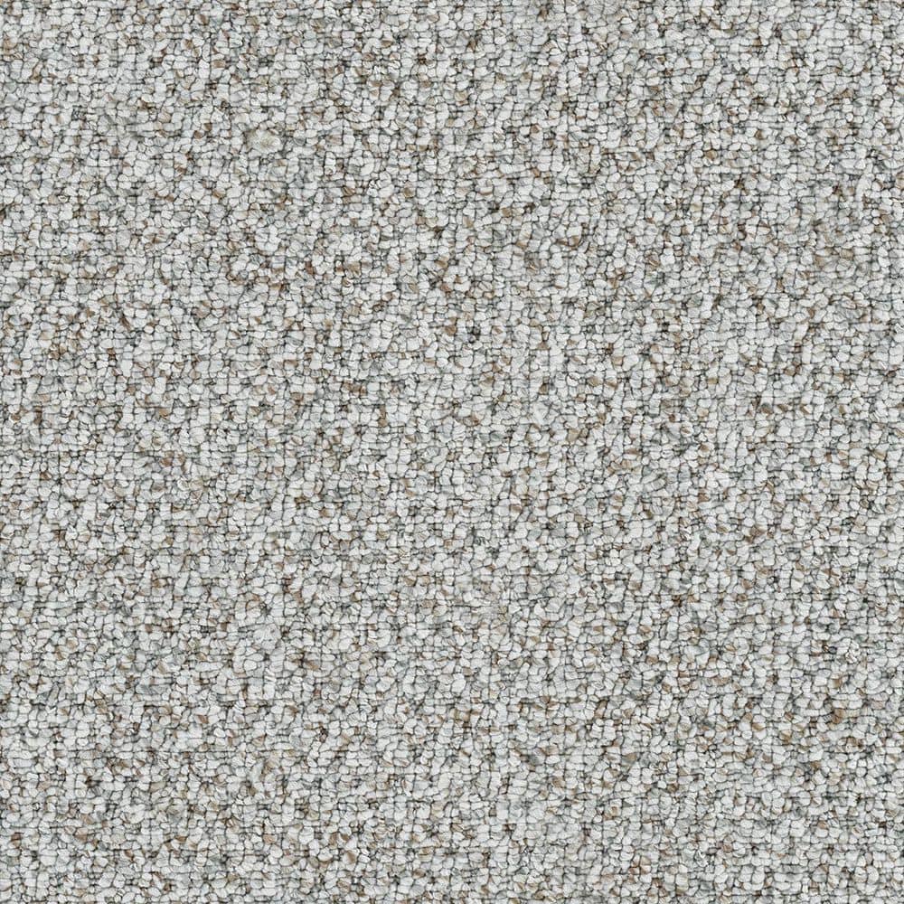 8 in. x 8 in. Loop Carpet Sample - Verse Vibe - Color Aesthetic price history on PriceWatchPro