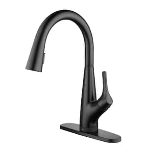 Eagleton Single-Handle Pull-Down Sprayer Kitchen Faucet with Filtration and FastMount in Matte Black