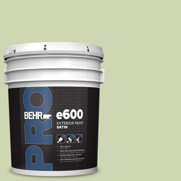 5 gal. #M360-3 Avocado Whip Satin Exterior Paint